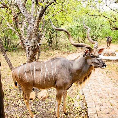 Willa Adventure Bush House Marloth Park Zewnętrze zdjęcie