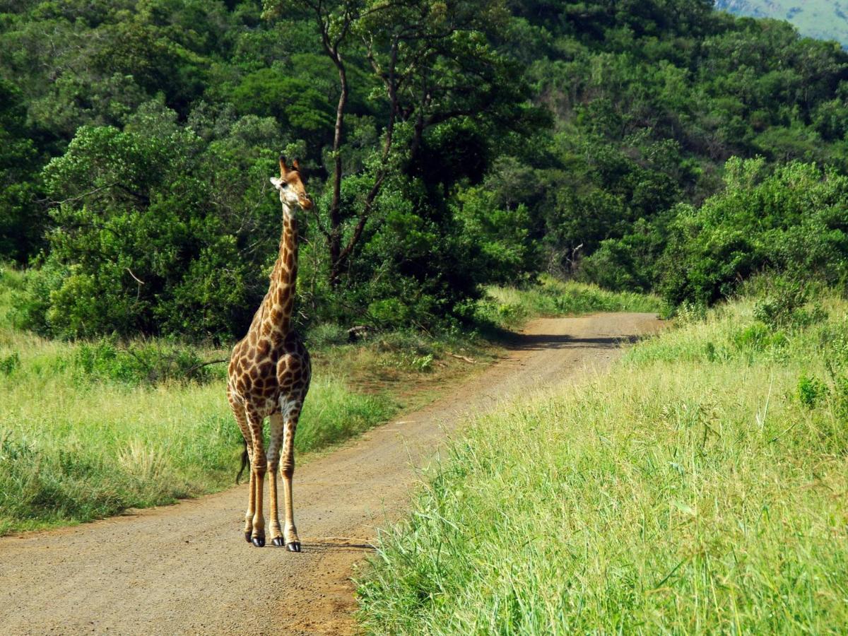 Willa Adventure Bush House Marloth Park Zewnętrze zdjęcie