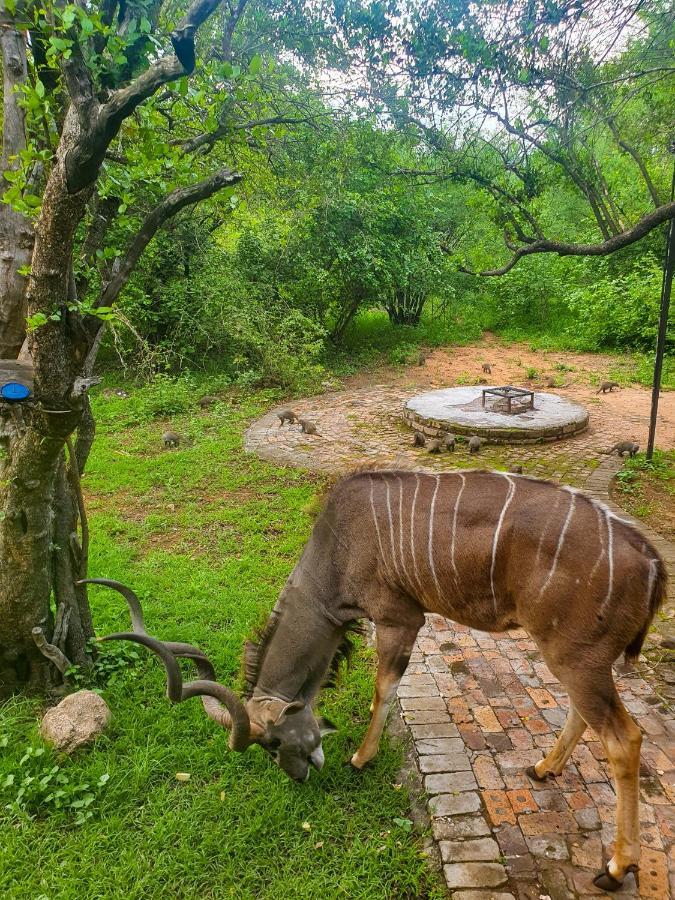 Willa Adventure Bush House Marloth Park Zewnętrze zdjęcie