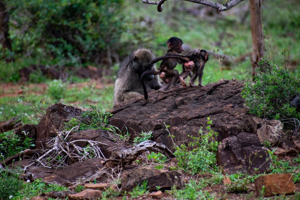 Willa Adventure Bush House Marloth Park Zewnętrze zdjęcie