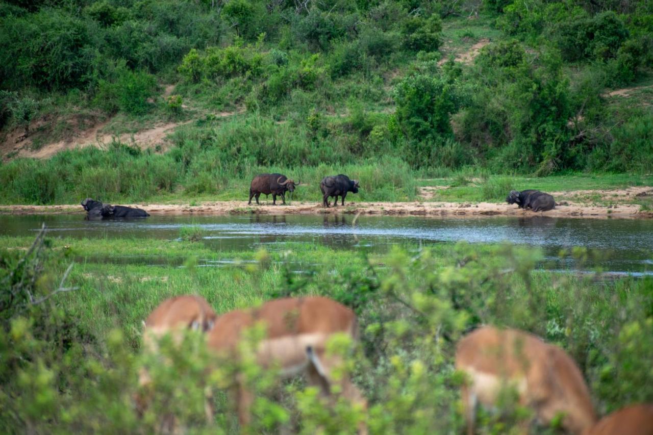 Willa Adventure Bush House Marloth Park Zewnętrze zdjęcie