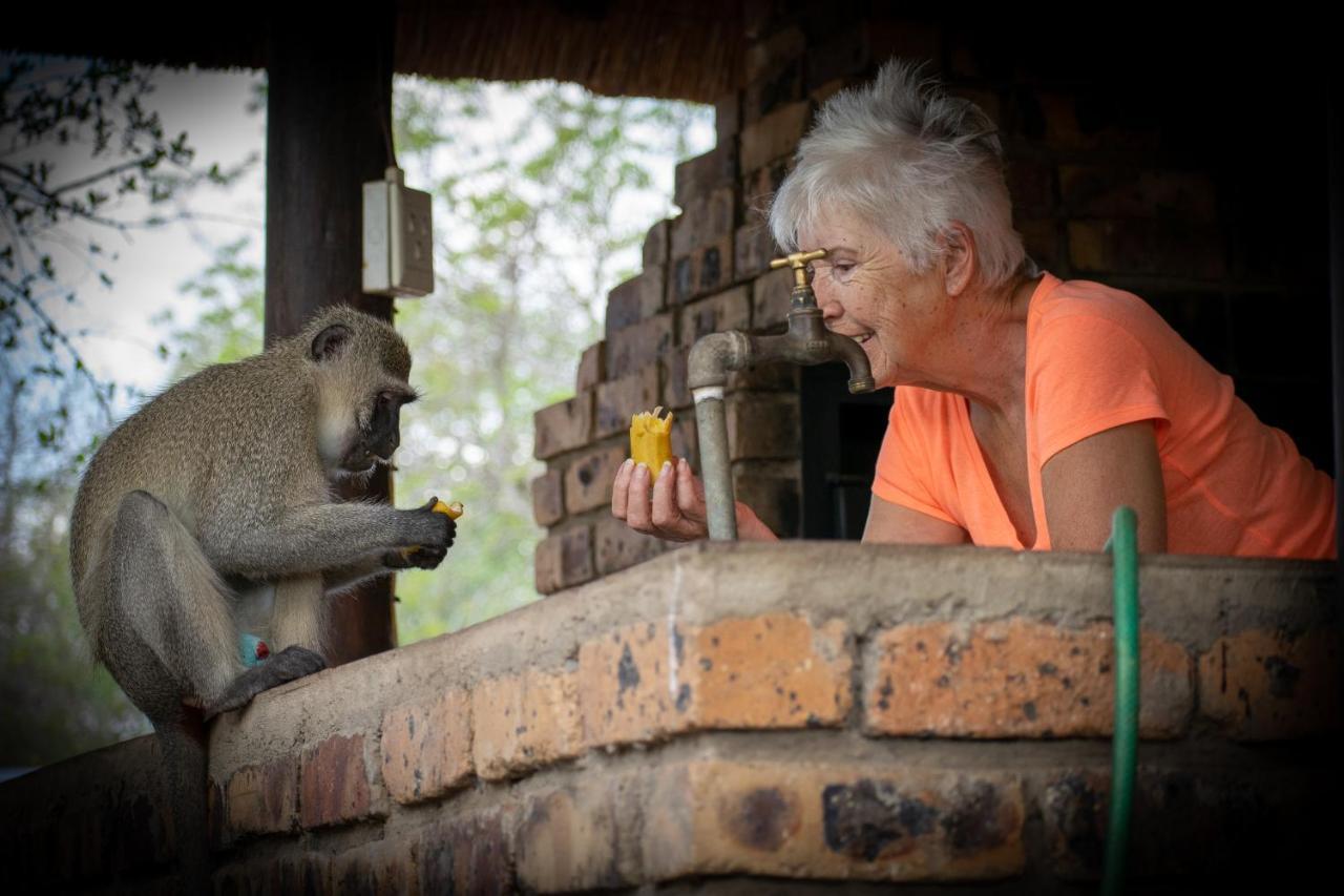 Willa Adventure Bush House Marloth Park Zewnętrze zdjęcie